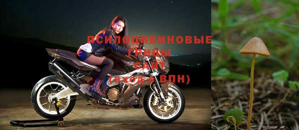 спайс Кинешма