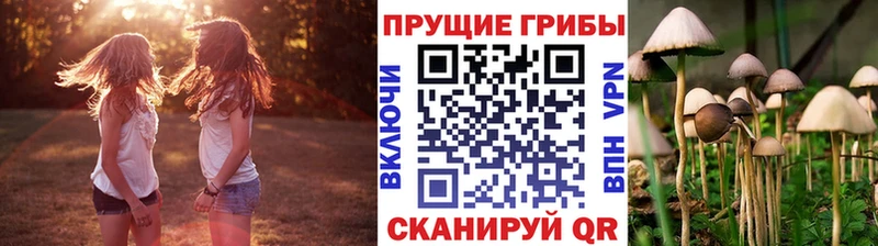 Псилоцибиновые грибы Cubensis  Купить где  Ногинск 